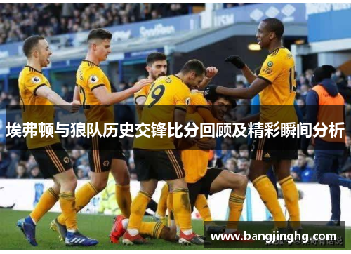 埃弗顿与狼队历史交锋比分回顾及精彩瞬间分析