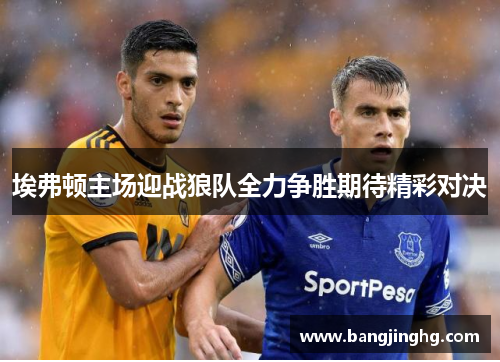 埃弗顿主场迎战狼队全力争胜期待精彩对决