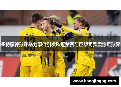 多特蒙德球迷暴力事件引发欧冠禁赛与巨额罚款震惊足球界 多特蒙德球迷暴力事件引发欧冠禁赛与巨额罚款震惊足球界