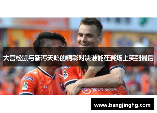 大宫松鼠与新泻天鹅的精彩对决谁能在赛场上笑到最后 大宫松鼠与新泻天鹅的精彩对决谁能在赛场上笑到最后